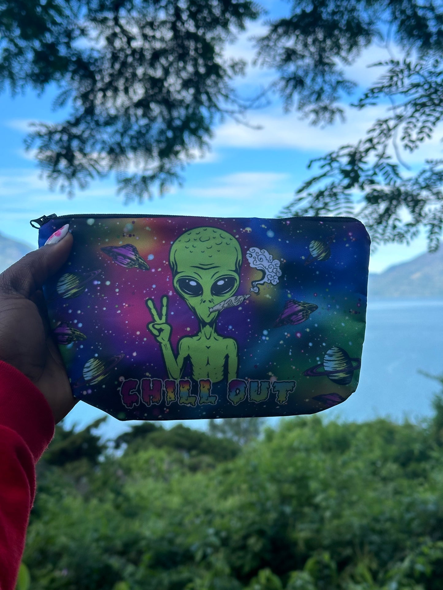 Green Alien cosmetic bag