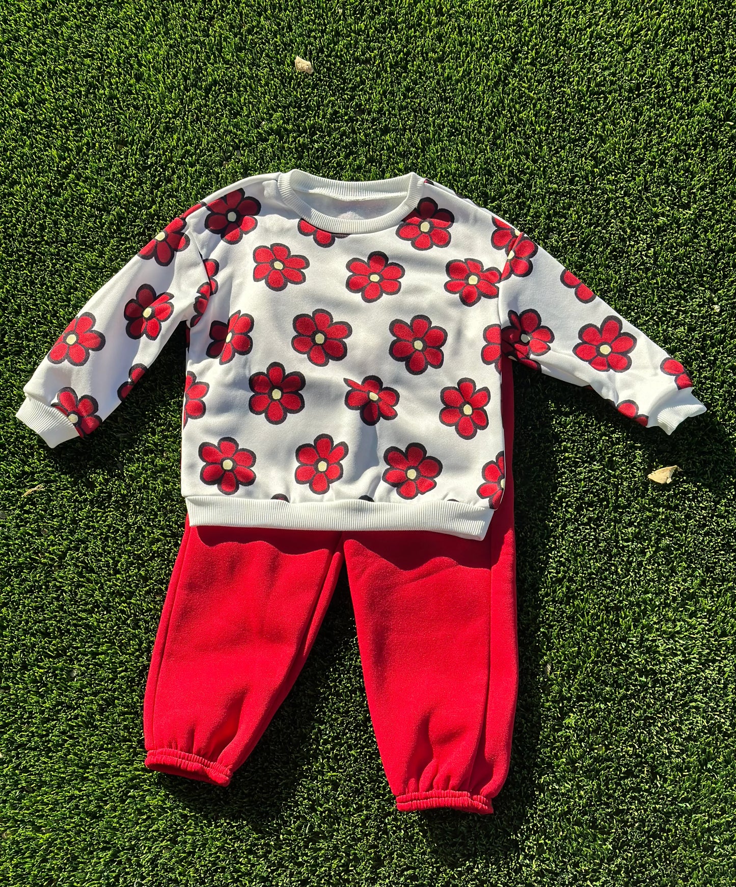 Girls 2 Pcs Fleece sweatshirt/sweatpants