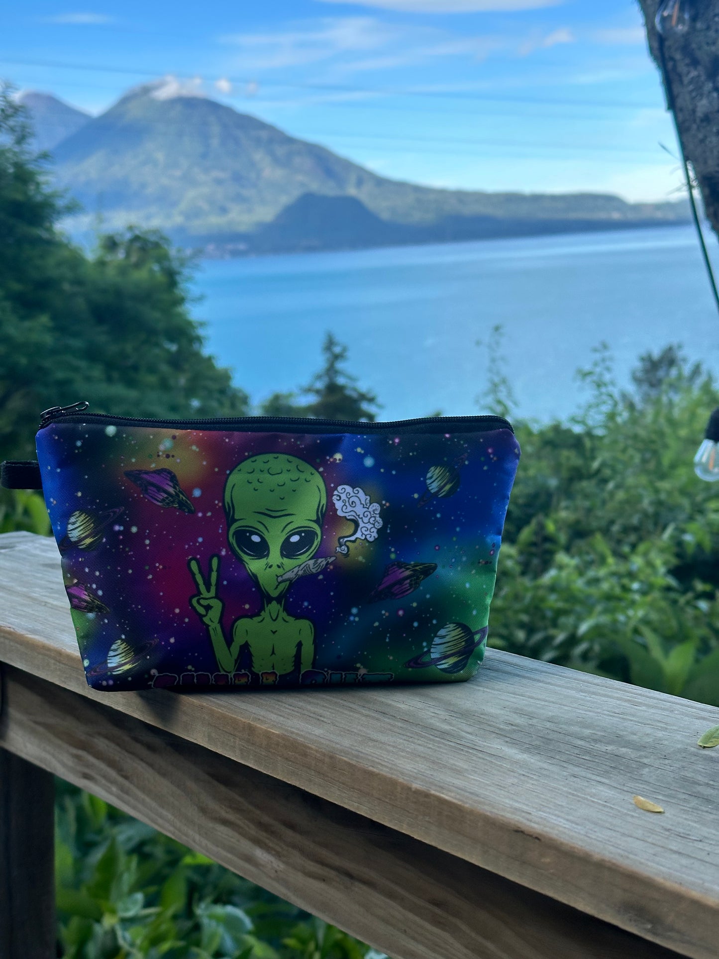 Green Alien cosmetic bag